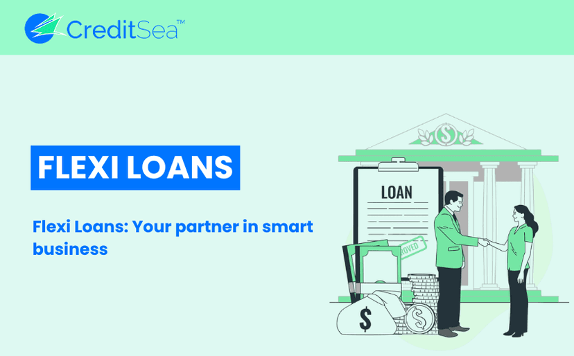 A person managing finances on a laptop with a Flexi Loan application open.